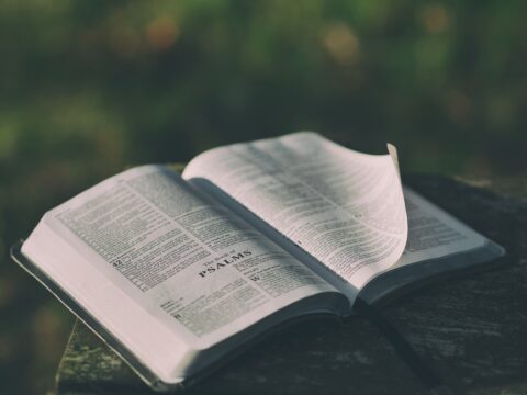 Powerful Bible Verses About Mercy