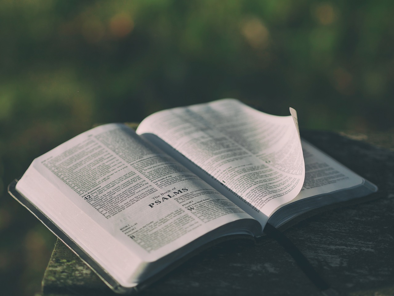 Powerful Bible Verses About Mercy