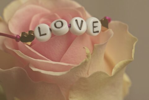 Love, Meaning, Types and What To Know