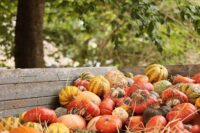 Thanksgiving: Meaning, Types and Reasons