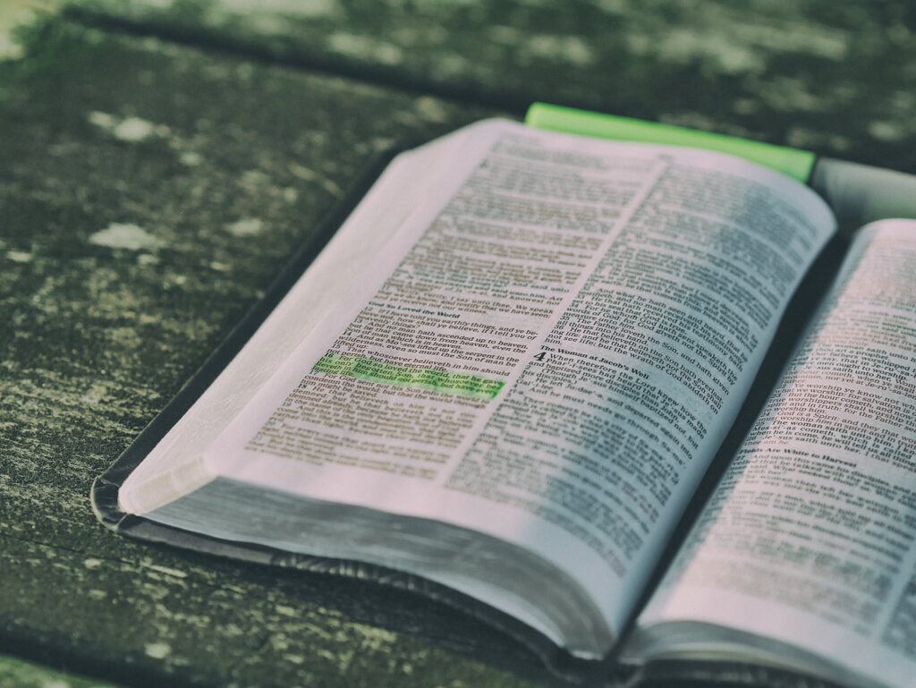 Bible Verses For Fruitfulness