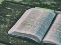 Bible Verses For Fruitfulness