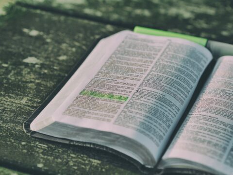 Bible Verses For Fruitfulness