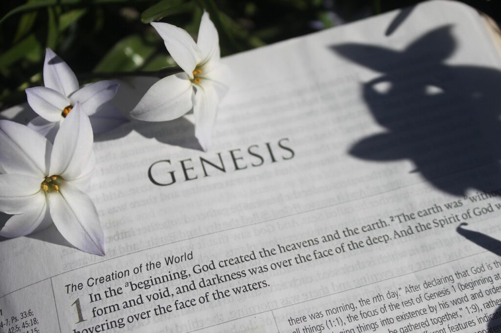 Genesis 1 | Meaning and Interpretationn