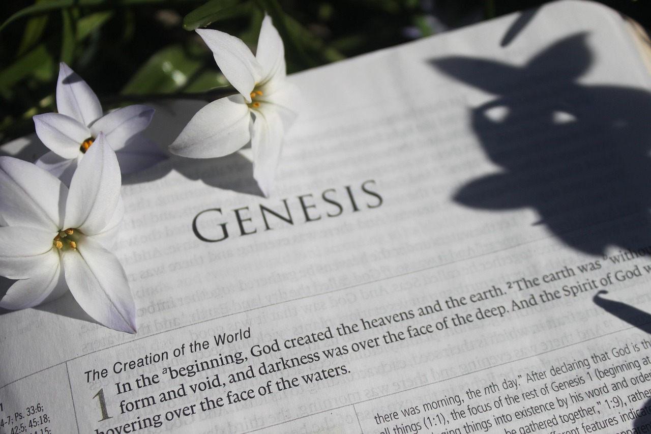 Genesis 1 | Meaning and Interpretationn