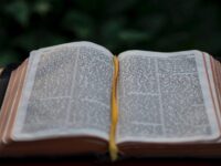 John 3 VS 16 | Meaning and Interpretation
