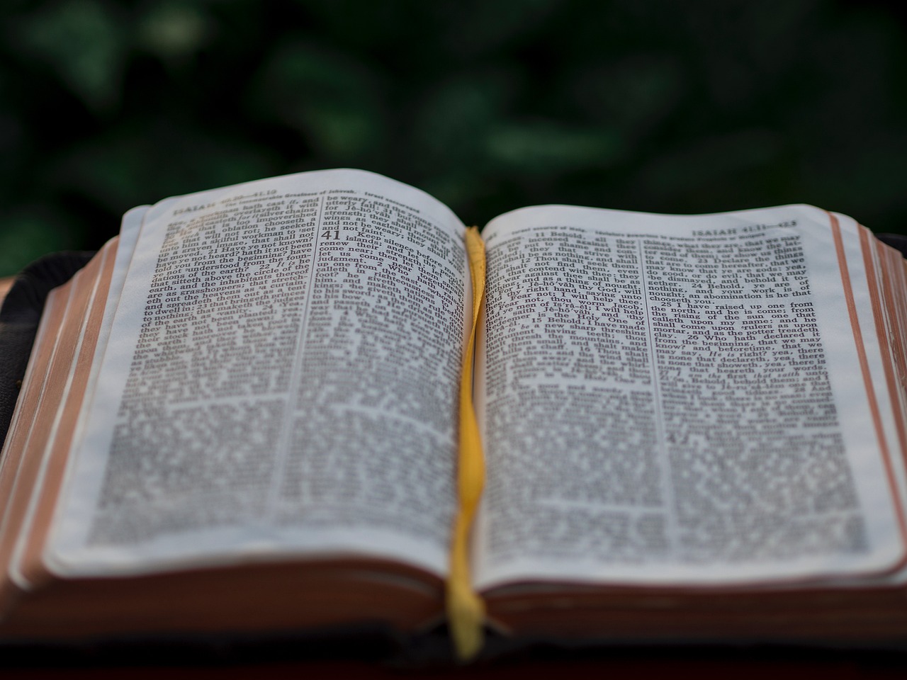 John 3 VS 16 | Meaning and Interpretation